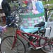 Debbie Pedersen Photo 20