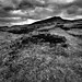 Heather Fields Photo 16