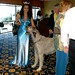 Joan Ball Photo 13