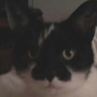 Christine Reardon Photo 23