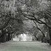 Jan Towne Photo 7