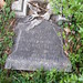 Charles Rhoads Photo 11