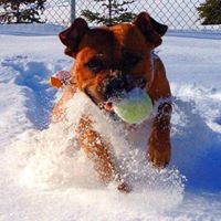 Timothy Friday Photo 6