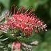 Robyn Gordon Photo 34