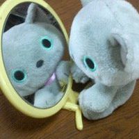 Ting Wen Photo 4