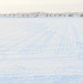Duke Lang Photo 9