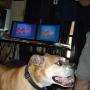 Janet Mccune Photo 12