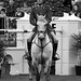 Shane Carey Photo 36