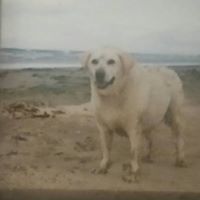 Tracey Beverley Photo 15