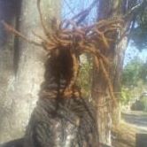 Robert Everett Photo 21