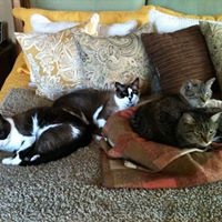 Jill Criscuoli Photo 1