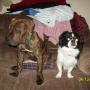 Helen Kramer Photo 42