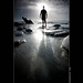 Joshua Cartwright Photo 14