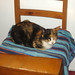 Flossie Foster Photo 4