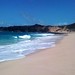 Sandy White Photo 16