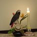 Patricia Langford Photo 15