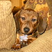 Frank Combs Photo 11