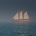 John Roark Photo 35