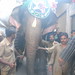 Syed Alam Photo 51