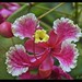 James Flora Photo 14