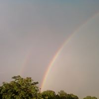 Kathy Pappas Photo 12