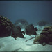 John Few Photo 11