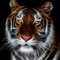 Roberto Cortes Photo 17