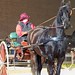 Michelle Whipple Photo 34