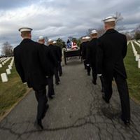 Ted Carlson Photo 35