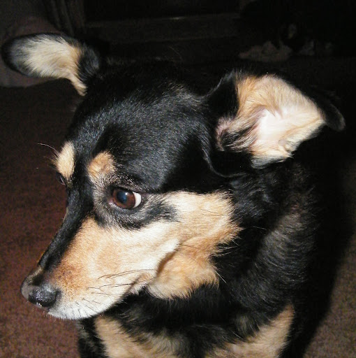 Sharon Riley Photo 12