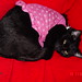 Bettie Sharp Photo 11