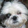 Gloria Clements Photo 11
