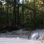 Joseph Girard Photo 40