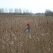 Nancy Reed Photo 41