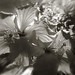 James Harter Photo 29