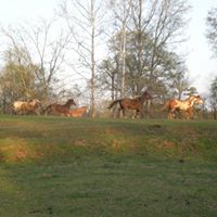 Barbara Burris Photo 26