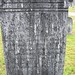 Melissa Marker Photo 11
