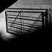 Stephen Hardman Photo 26