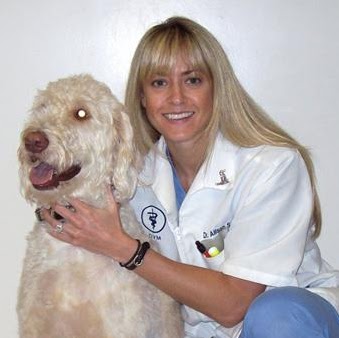 Allison Simpson Photo 32