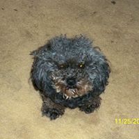 Donnie Mcdaniel Photo 22