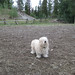 Tyler Lamb Photo 20