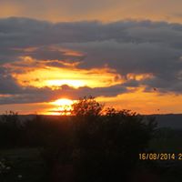 Brenda Siler Photo 9