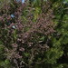 Heather Montes Photo 20