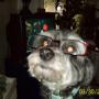 Cindy Shepard Photo 22