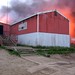 Diane Hooper Photo 18