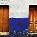 Hector Gonzalez Photo 28