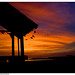 Dawn Dickson Photo 20