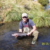 Robert Dowell Photo 22