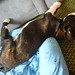 Roland Summers Photo 10