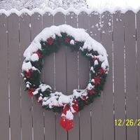 Kimberley Davis Photo 24